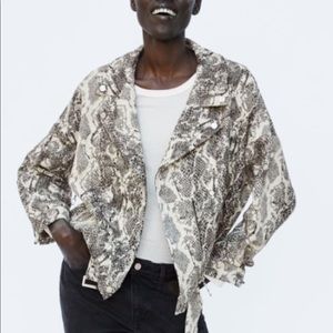 Zara snakeskin moto jacket